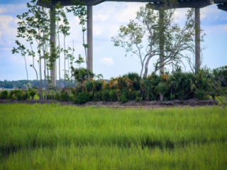 Drum Island Marsh Restoration