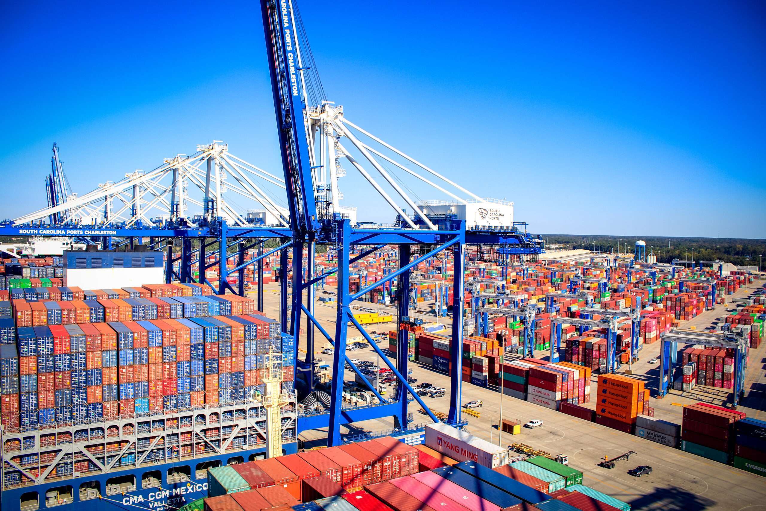 Wando Welch Terminal viewed from a crane